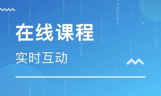 思鴻集團(tuán) 深耕職業(yè)教育市場(chǎng)，打造在線職業(yè)教育培訓(xùn)專業(yè)平臺(tái)與軟件開(kāi)發(fā)